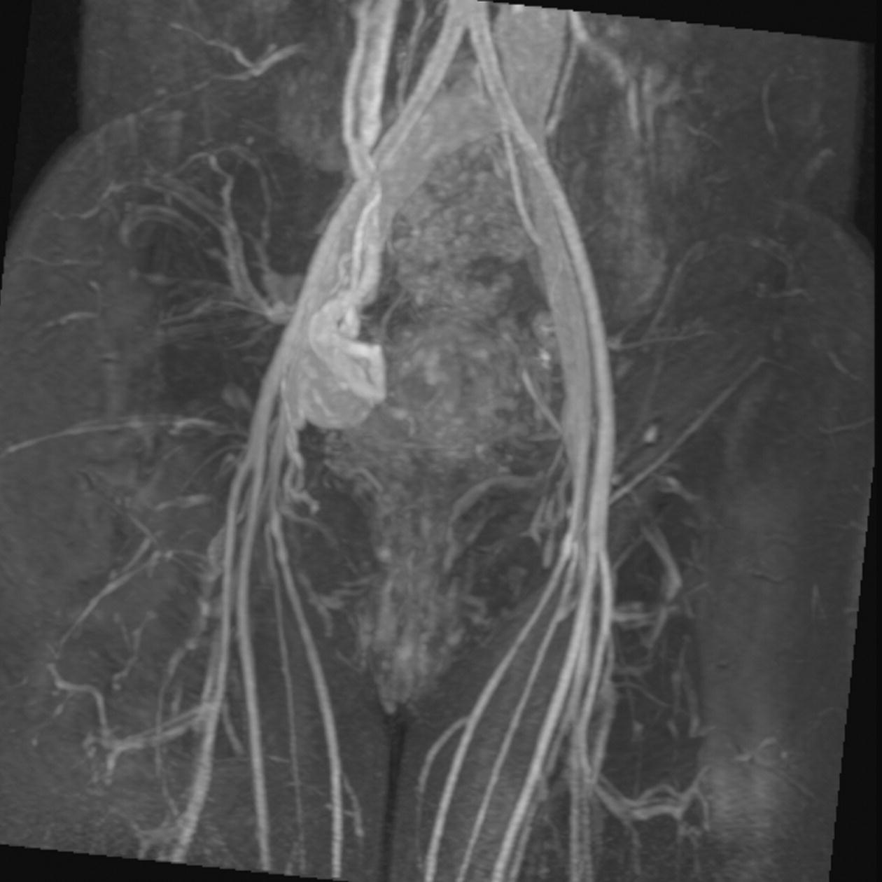 Lower Limb Radiology Key