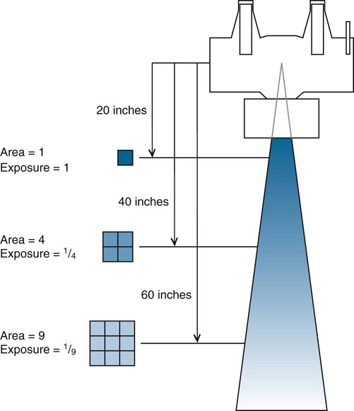 Plain Radiographic Imaging | Radiology Key