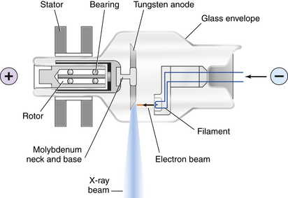 Basic Radiation Protection And Radiobiology | Radiology Key