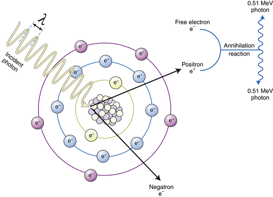 Basic Radiation Protection And Radiobiology | Radiology Key