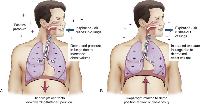 Vital Signs, Oxygen, Chest Tubes, and Lines | Radiology Key