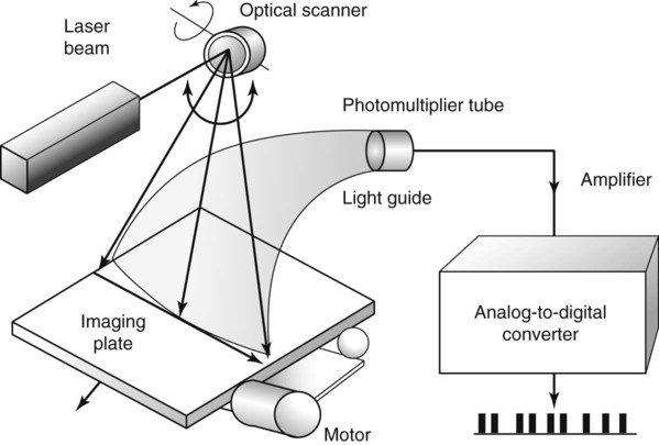 Digital Imaging | Radiology Key