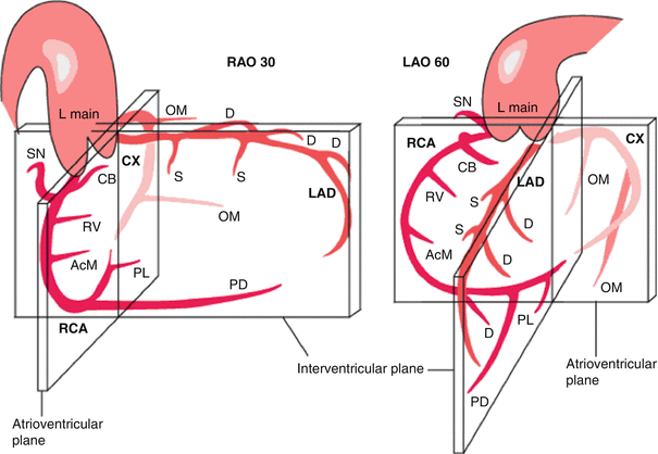 A312522_1_En_4_Fig13_HTML.gif