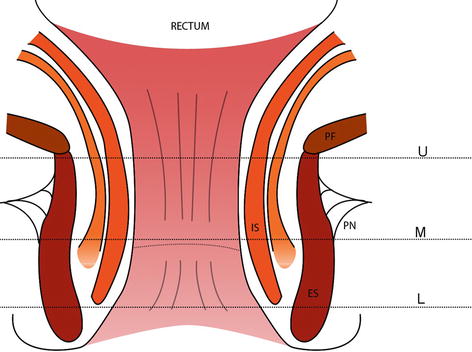 A318120_1_En_8_Fig4_HTML.jpg