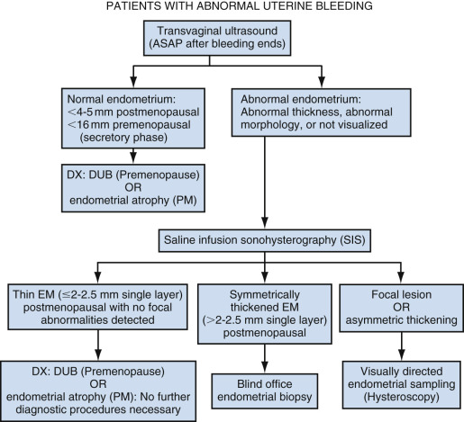 Abnormal Uterine Bleeding: The Role of Ultrasound