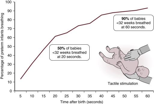 Hemodynamic Significance and Clinical Relevance of Delayed Cord Clamping  and Umbilical Cord Milking