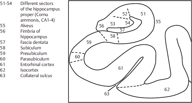 Part II Atlas | Radiology Key