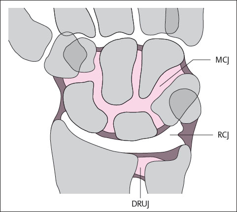midcarpal joint