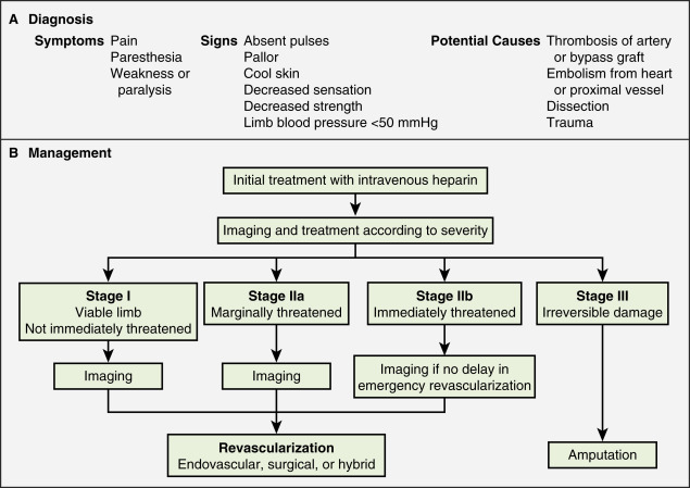 acute-lower-extremity-ischemia-radiology-key