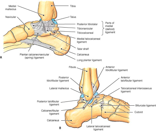 Deltoid Ligament Pathology Treated by Means of a Two-Portal