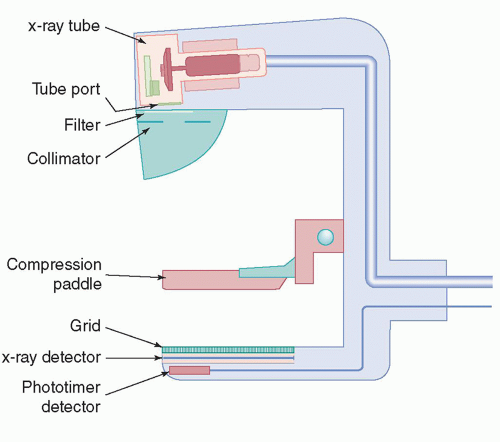 Mean Amount of Breast Tissue (mm) Within Scan Range Categorized by Cup