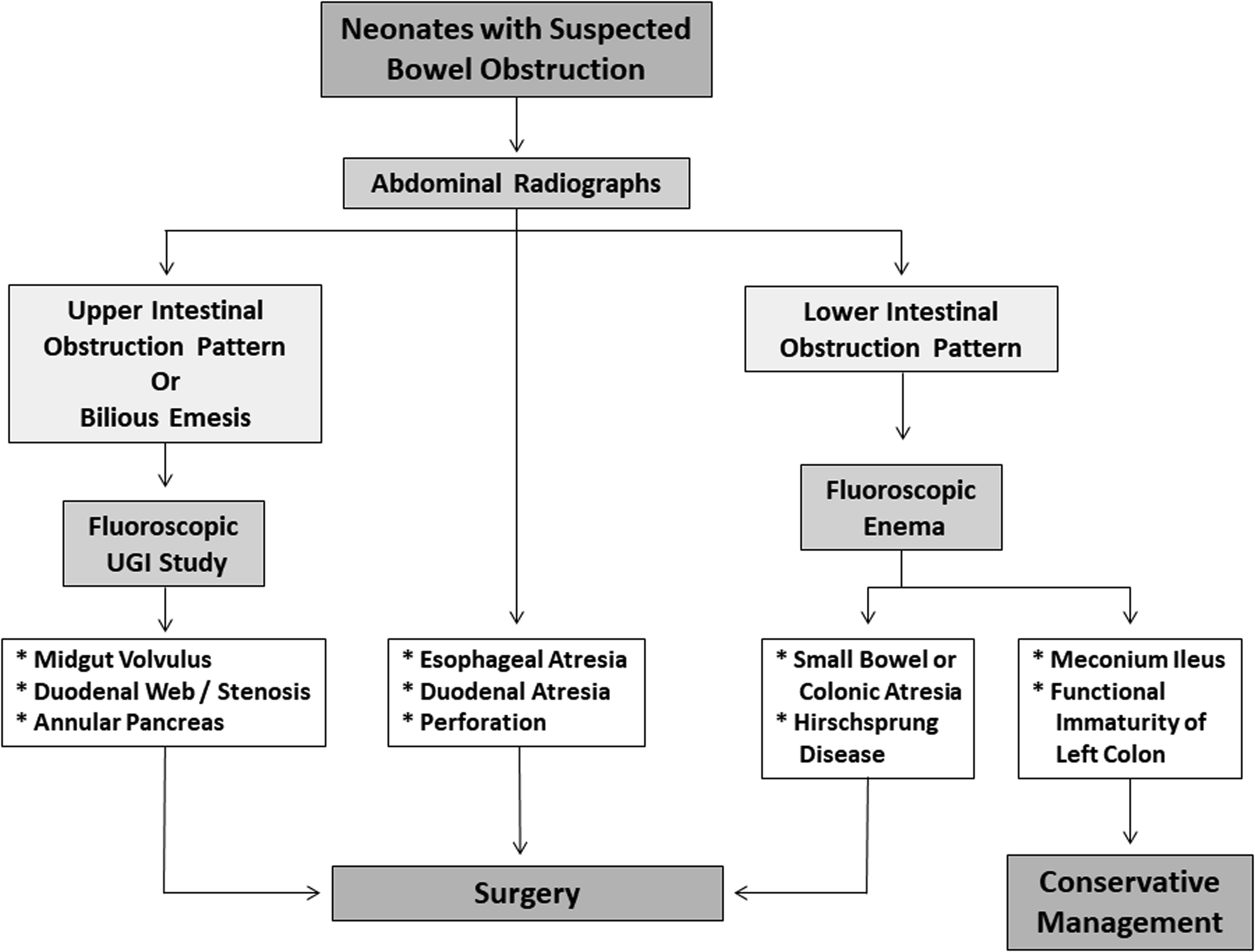 small bowel obstruction