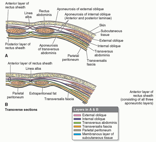 The Abdominal Wall And Diaphragm Radiology Key