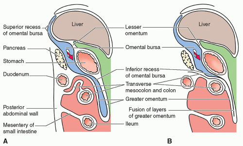 Greater And Lesser Sac Greater And Lesser Sac