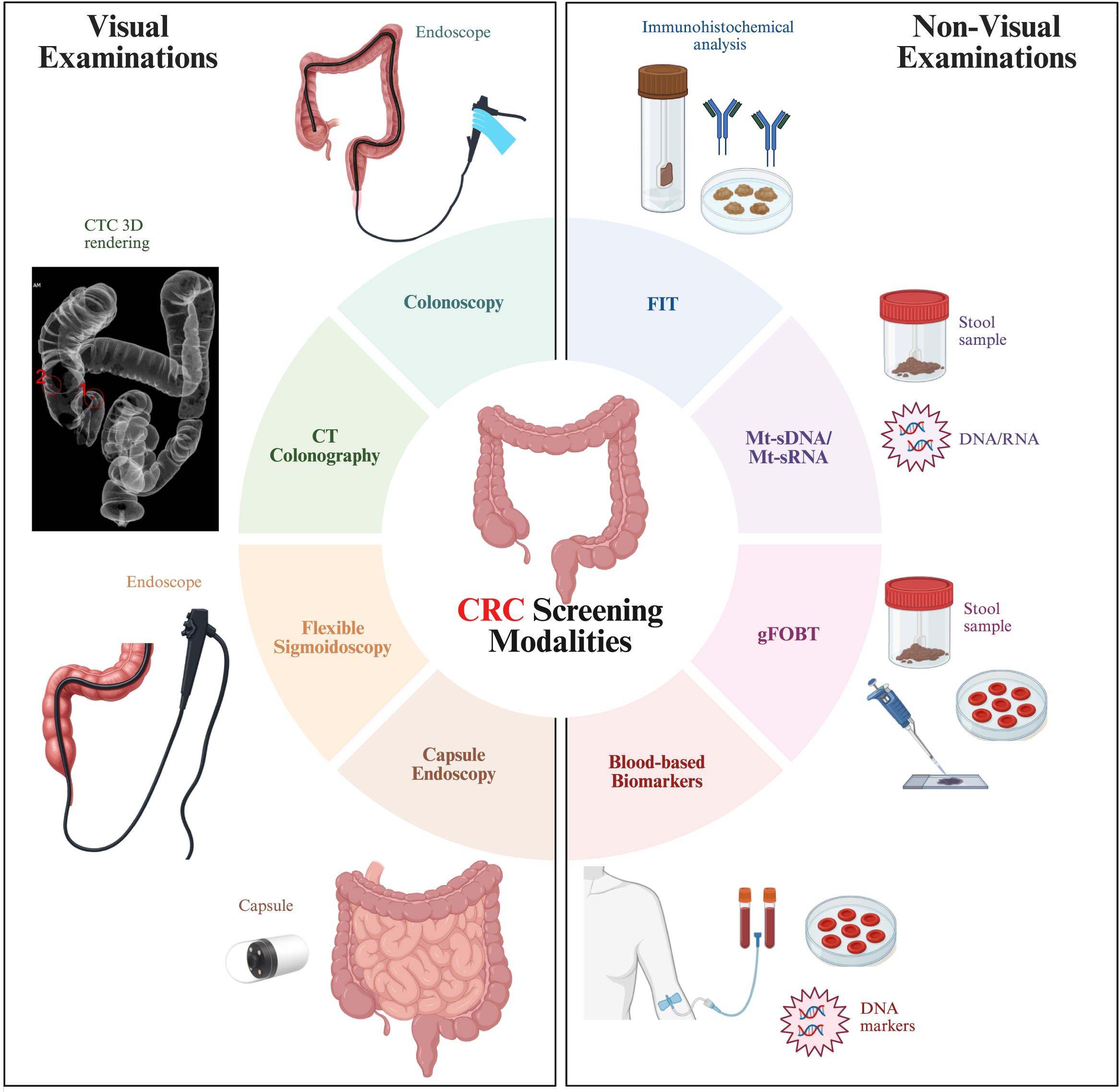 A circular infographic for the C R C screening modalities shows a central colon surrounded by visual tests like colonoscopy and CT colonography on the left and non-visual stool or blood tests on the right.