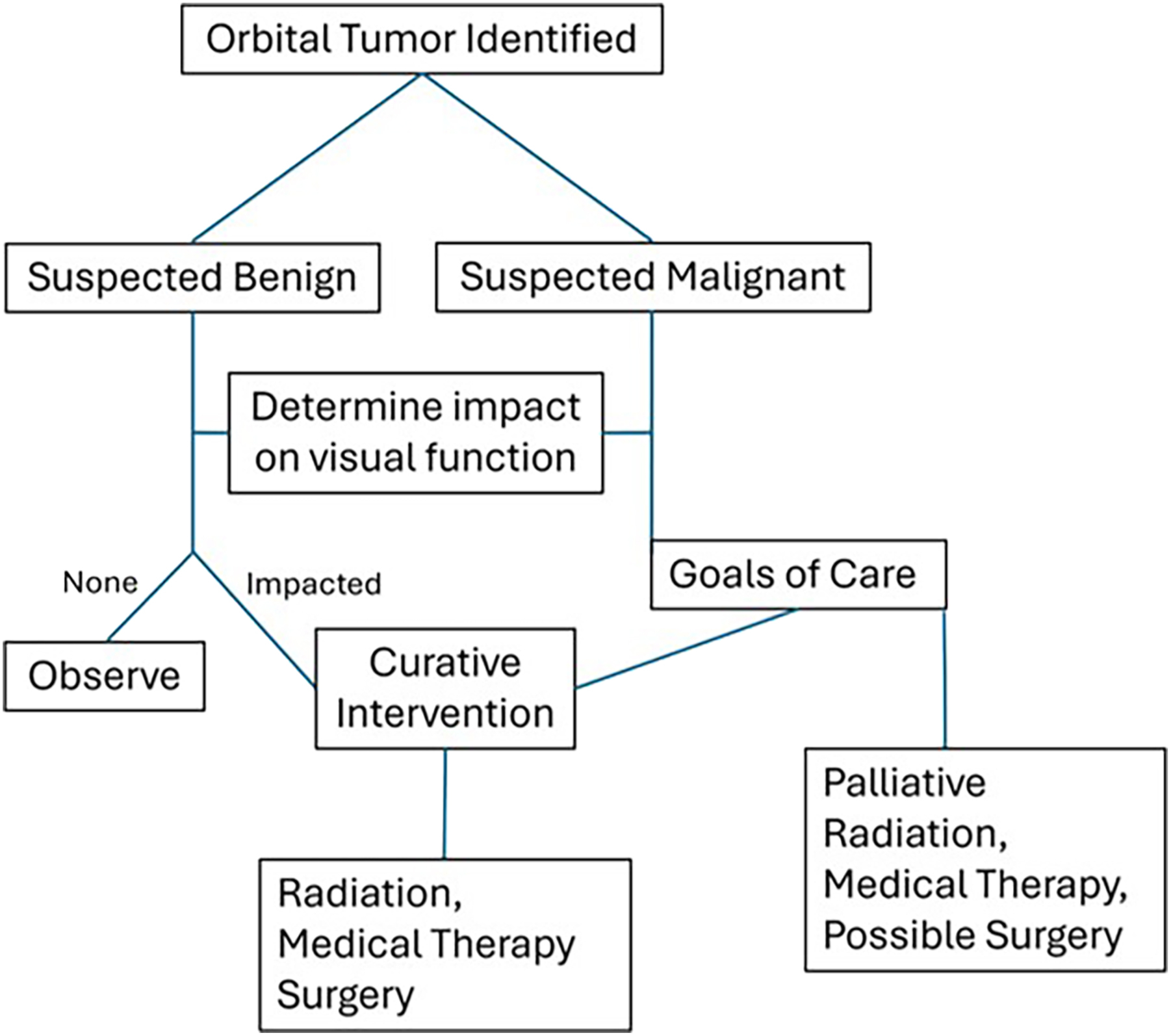 A flowchart shows the medical decision-making process for treating orbital tumors, from initial identification to potential outcomes like observation, curative surgery, or palliative care.