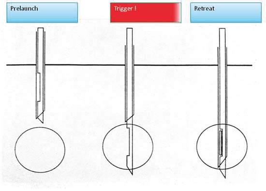 posterior auricular lymph nodes