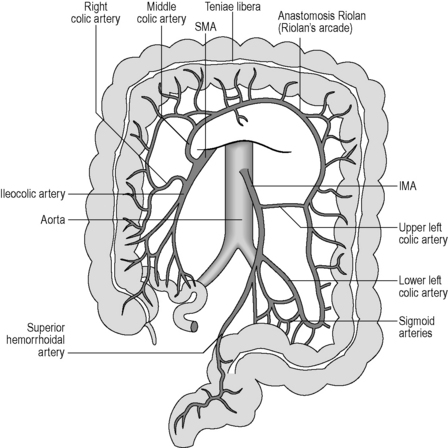 Applied anatomy and physiology of the gastrointestinal tract (GIT ...