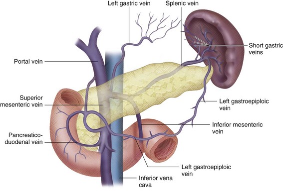 left gastric vein esophageal varices