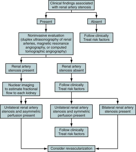 Renal Artery Hypertension Radiology Key