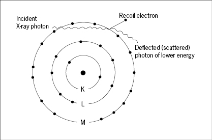 c1-fig-0006