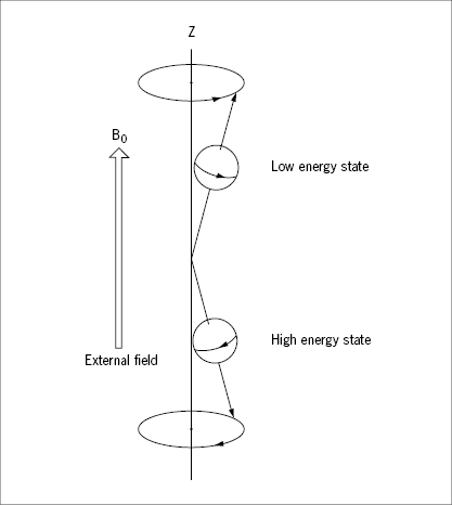 c2-fig-0031