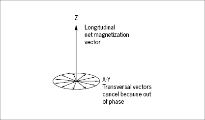 c2-fig-0032