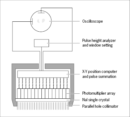 c4-fig-0052