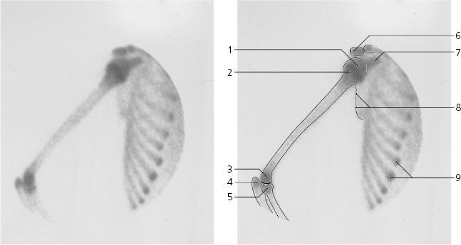 cmp06-fig-5007