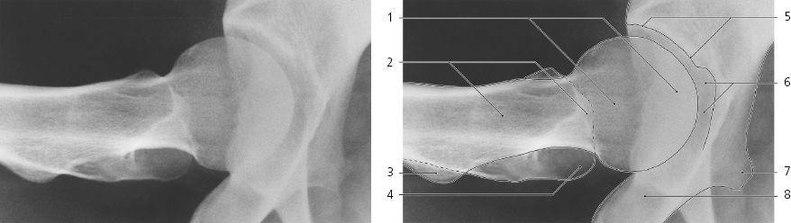 cmp12-fig-5134