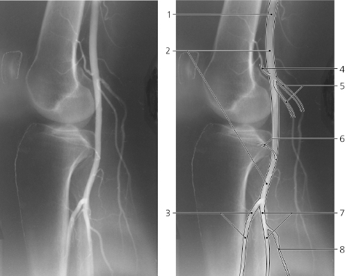 cmp16-fig-5265