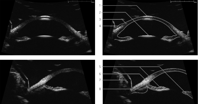 cmp23-fig-5364