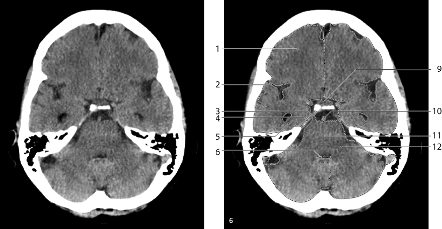 cmp29-fig-5402