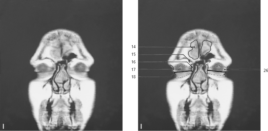 cmp31-fig-5461