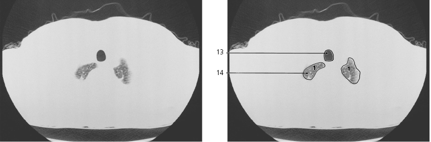 cmp40-fig-5622