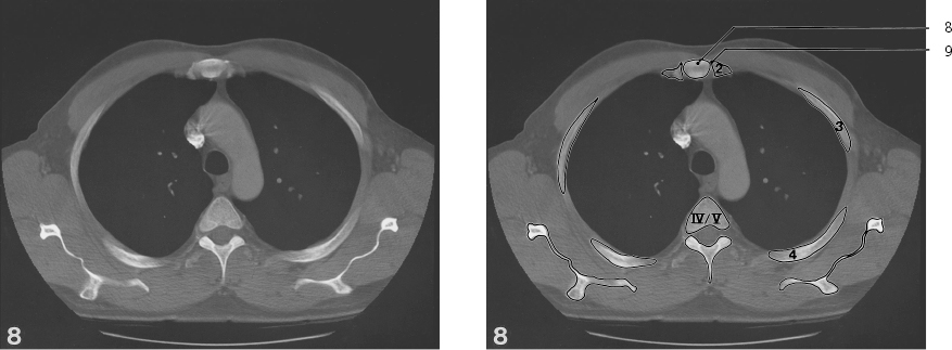 cmp40-fig-5638