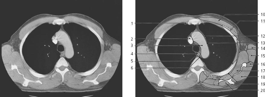 cmp40-fig-5639