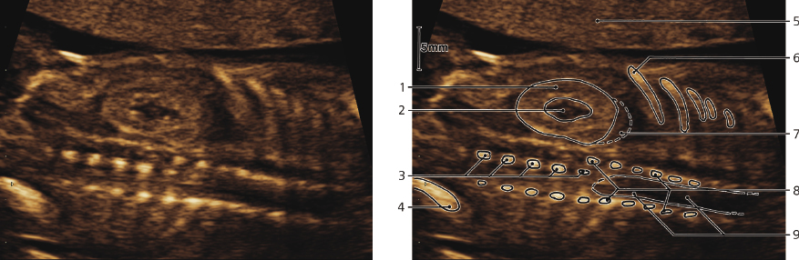 cmp57-fig-5879