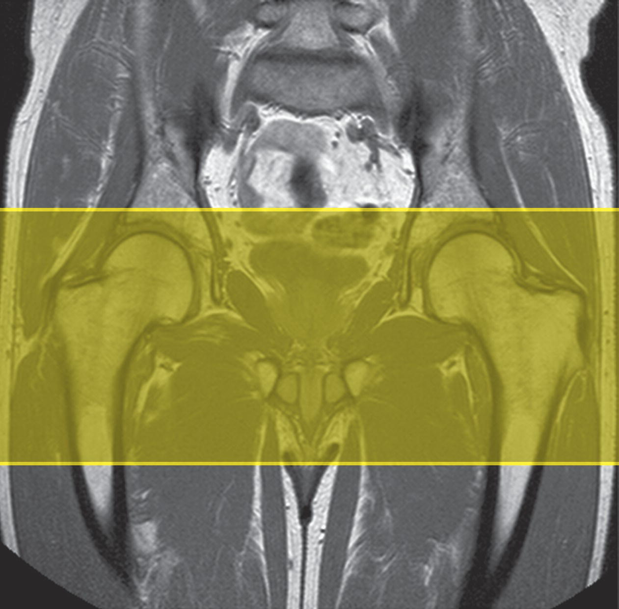 c14-fig-0003