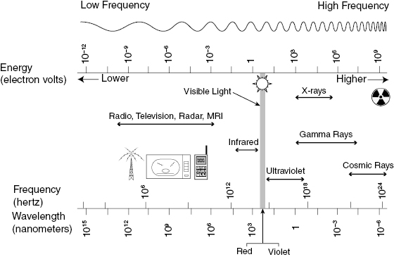 c3-fig-0002