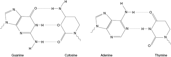 c6-fig-0003