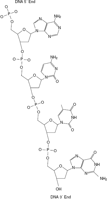 c6-fig-0005