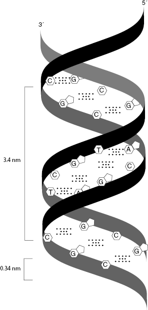 c6-fig-0006