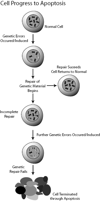 c8-fig-0001