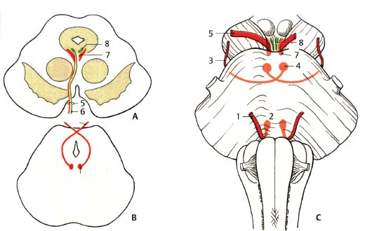 Fig. 6.1