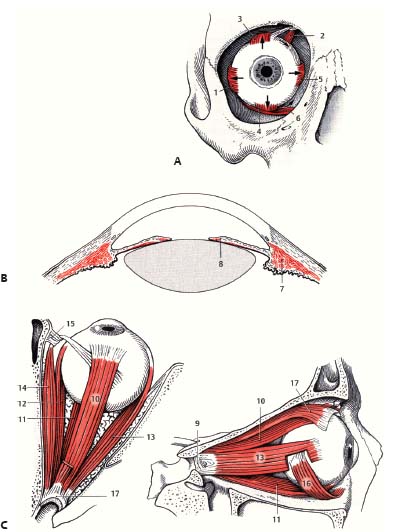 Fig. 6.4