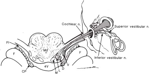 Fig. 8.2