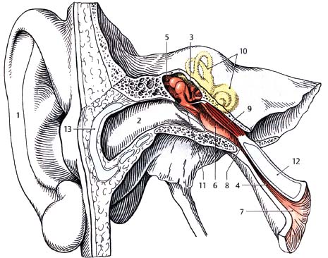 Fig. 8.4