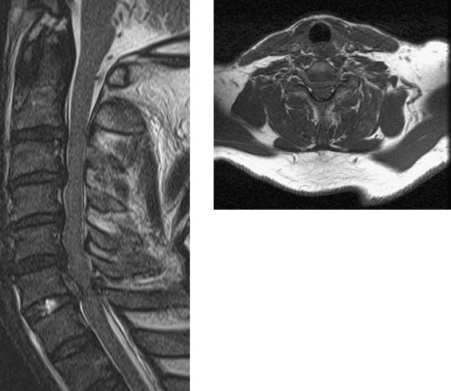 Fair Game | Radiology Key