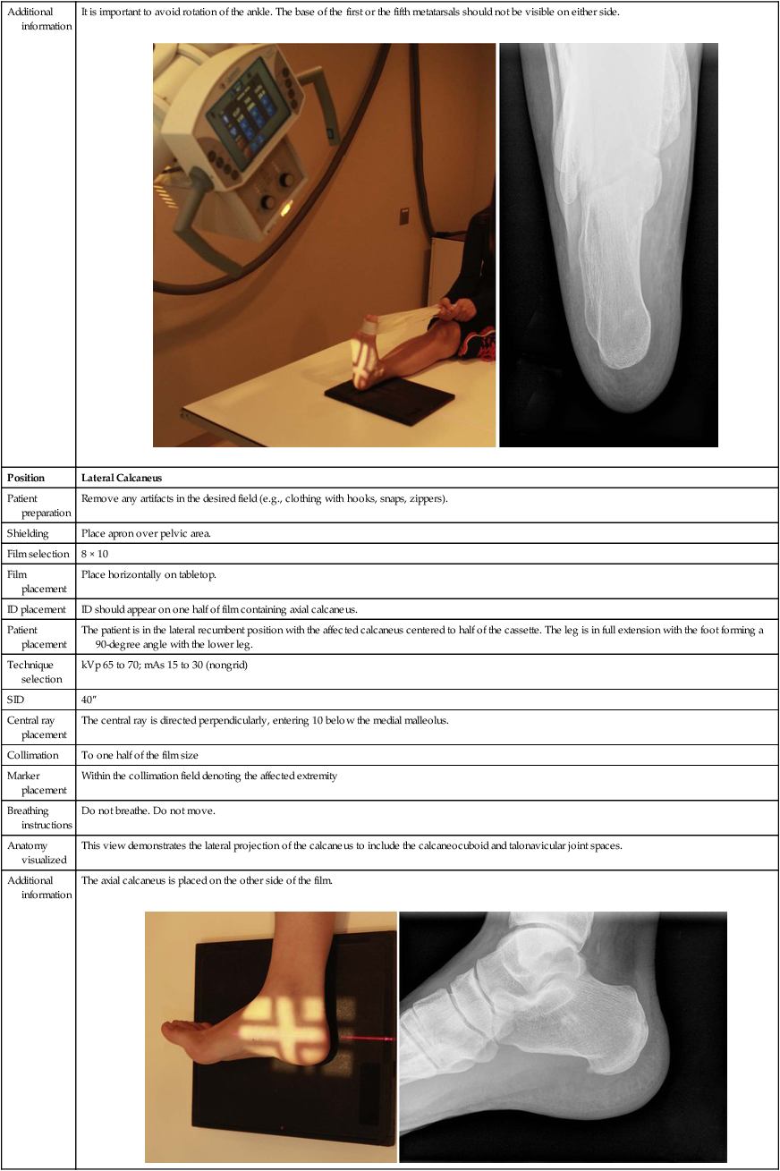 Radiographic Positioning | Radiology Key